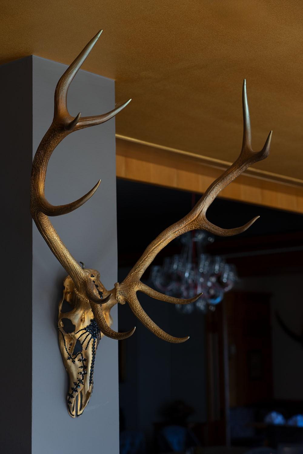 Wildauers Haidenhof Stay & Sleep Lienz Eksteriør bilde